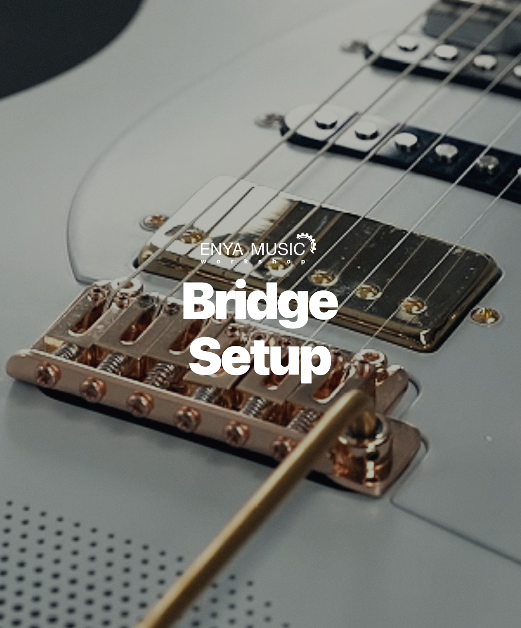 Enya Music Workshop 103：How to Set Up Bridge Saddles