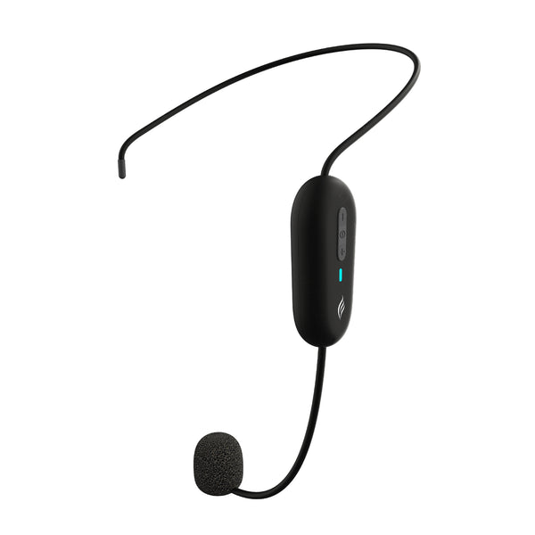 wirelessheadsetmic_grande.jpg?
